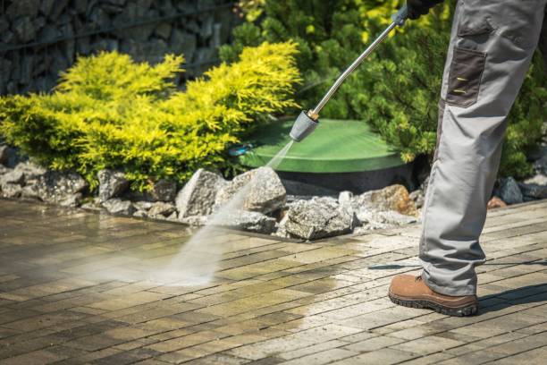 Best Solar Panel Cleaning  in Pearl River, LA